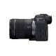 Canon EOS-R6 Mark II (Cuerpo)