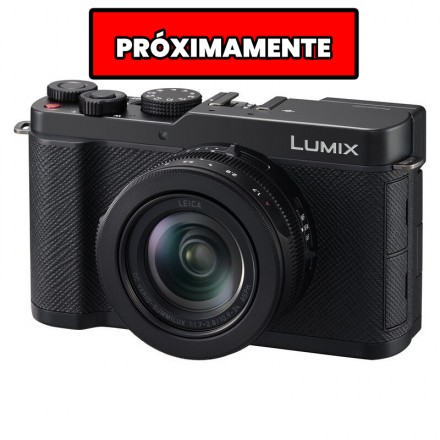 Panasonic LUMIX DC-L10E