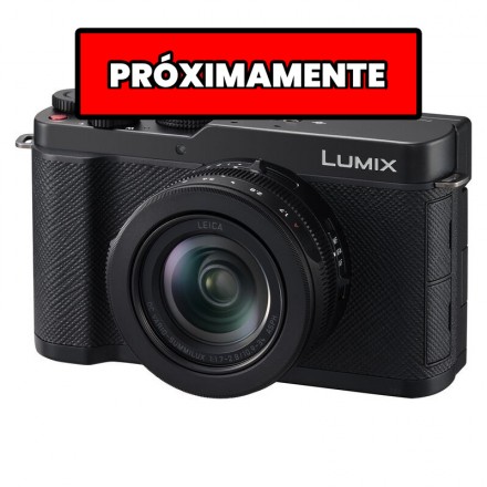 Panasonic LUMIX DC-L10E